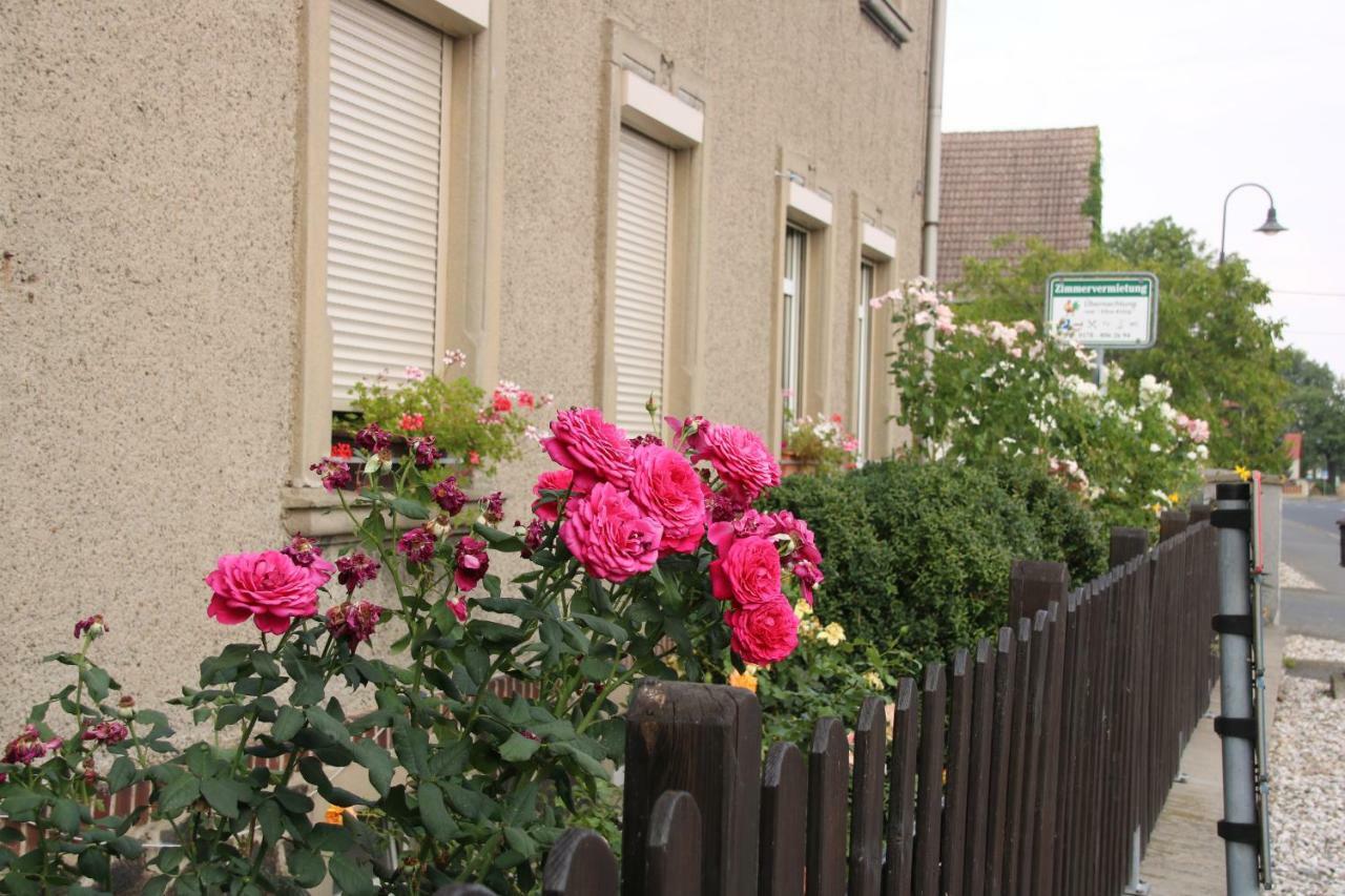 Zum Alten Koenig Cavertitz Exterior foto